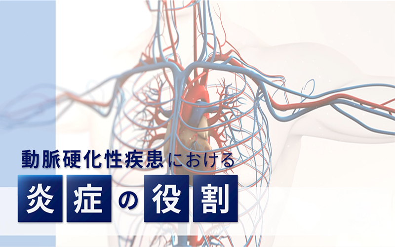 循環器領域 | 炎症と心血管疾患 | 医療従事者向けサイト | ノボ ノルディスク プロ