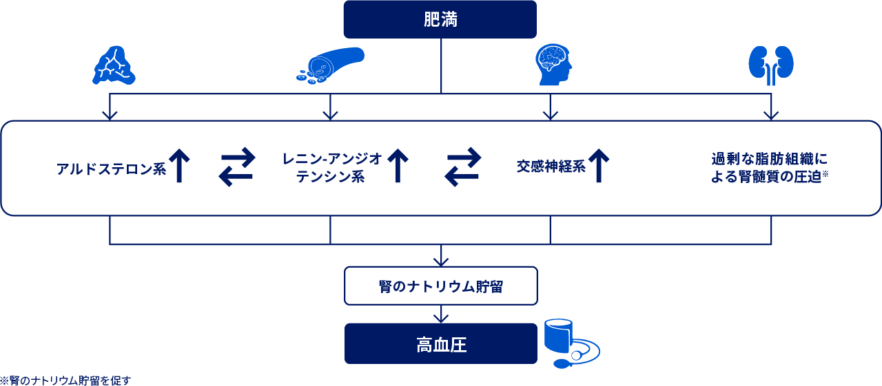 肥満症 | 脂質異常症、高血圧、高尿酸血症・痛風 | 肥満に関連する健康障害 | 医療従事者向けサイト | ノボ ノルディスク プロ